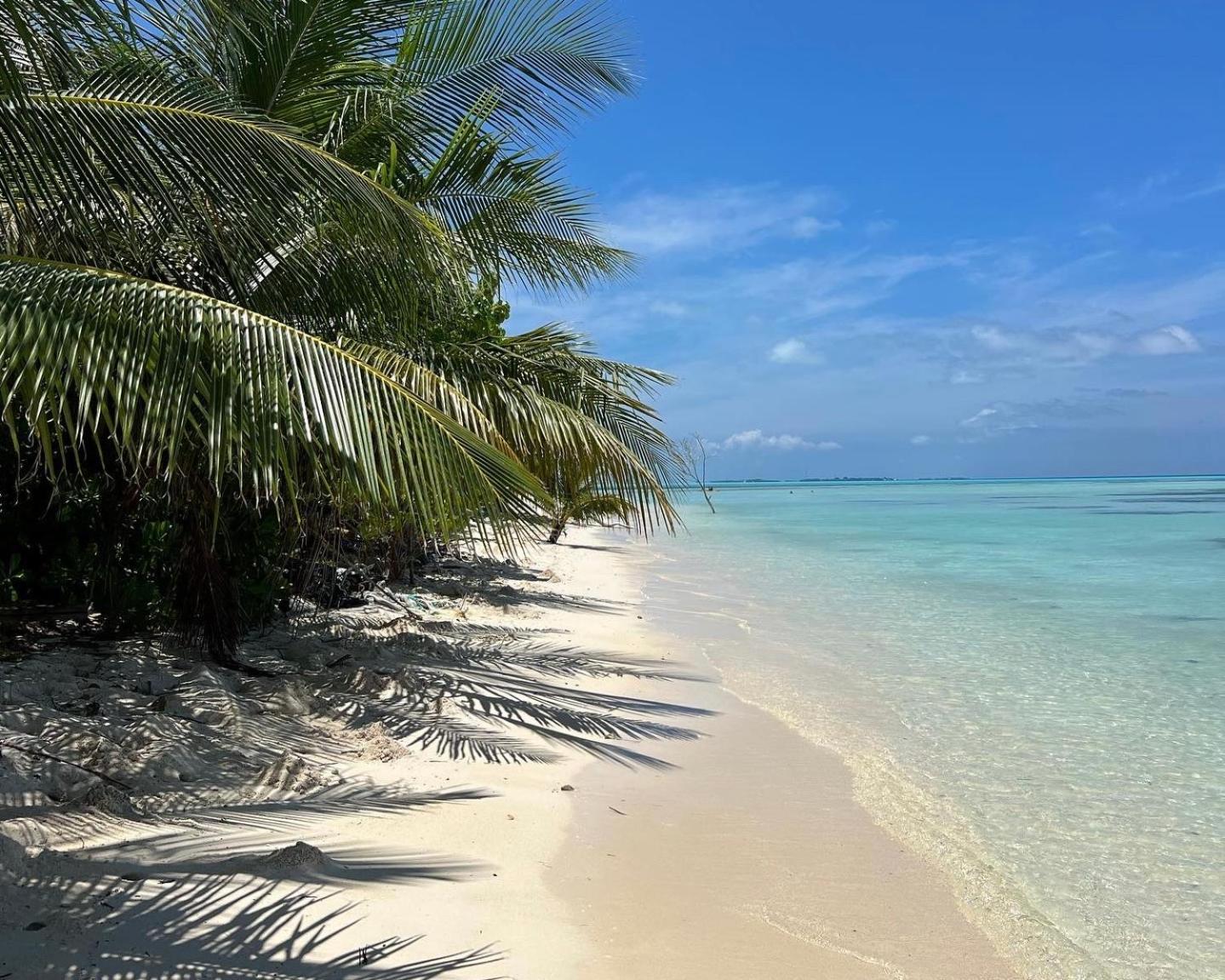 Heron Beach Hotel - The Best Maldivian Getaway In Dhiffushi,Maldives Екстер'єр фото