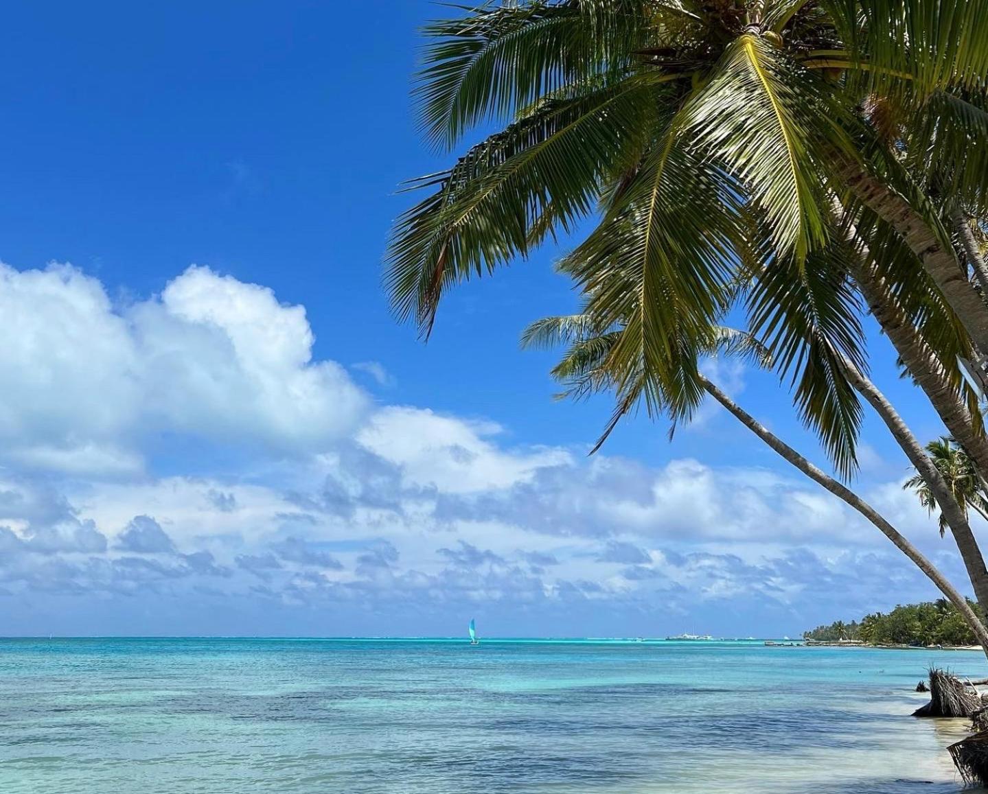 Heron Beach Hotel - The Best Maldivian Getaway In Dhiffushi,Maldives Екстер'єр фото